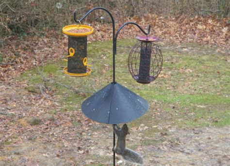 how to use squirrel hook