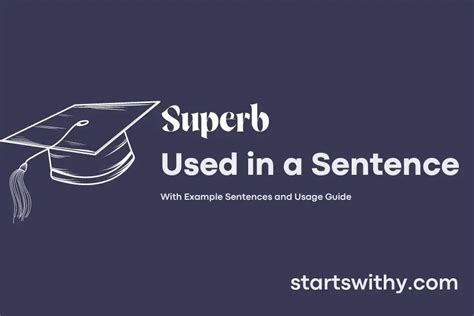 how to use superb in a sentence