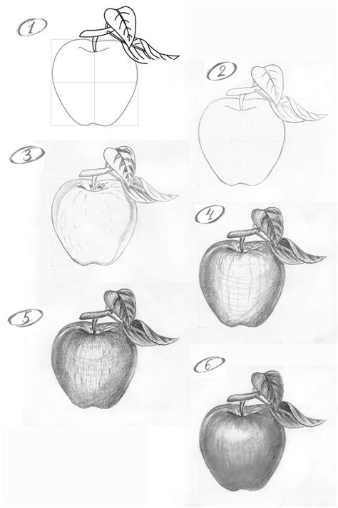 how to use the apple pencil to draw