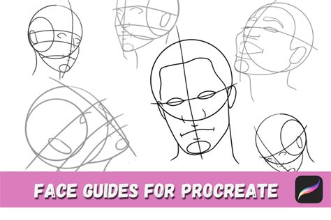 how to use the perfect face template on procreate