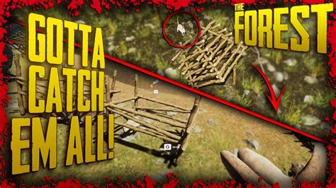 How To Use The Rabbit Trap In The Forest