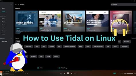 How To Use Tidal App