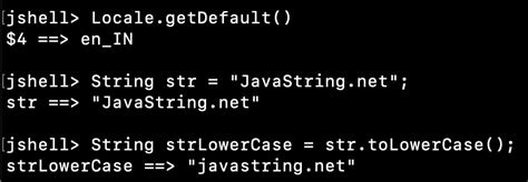 How To Use To Lower Case In Java