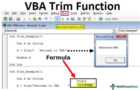 How To Use Trim Function In Excel Vba