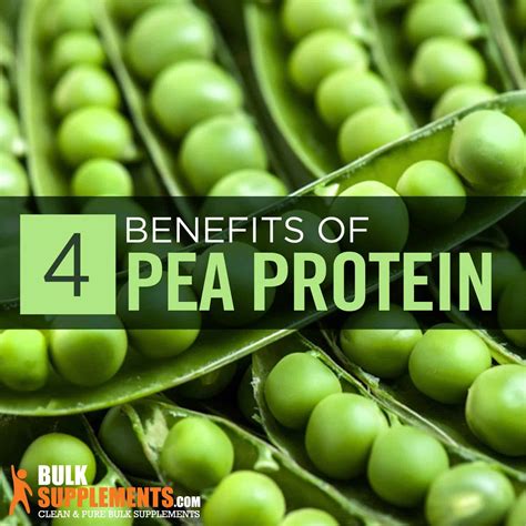 how to use unflavoured pea protein powder