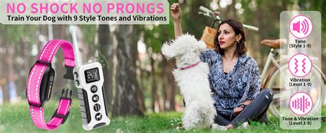 How To Use Vibrating Dog Collar