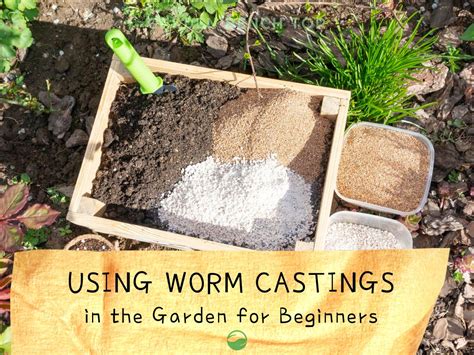 how to use worm castings in garden