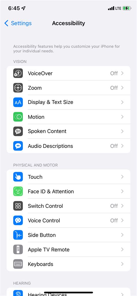 How To Use Zoom On Iphone Accessibility