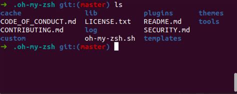 How To Use Zsh