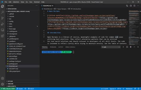 how to use zsh in visual studio code