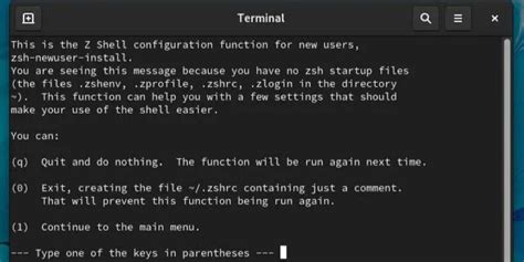 How To Use Zsh Shell