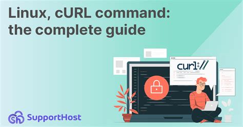 how to validate curl command
