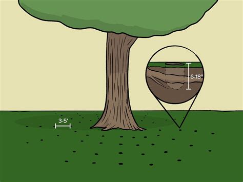 How To Vertical Mulch A Tree