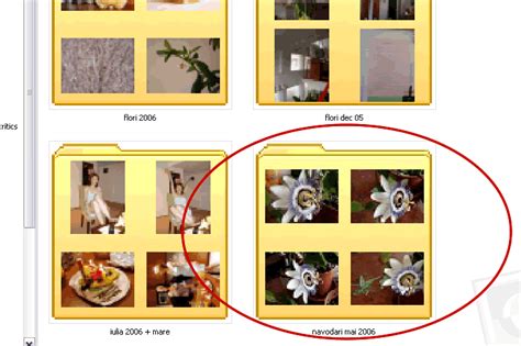 how to view photo in folder