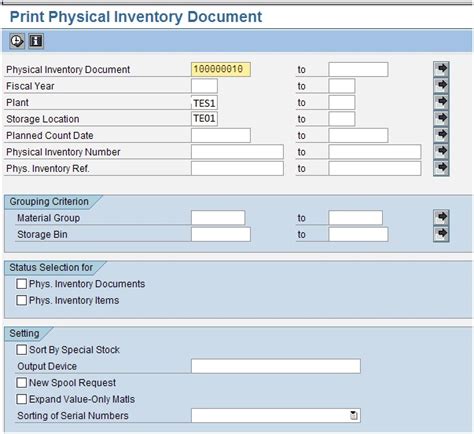 how to view physical inventory document in sap