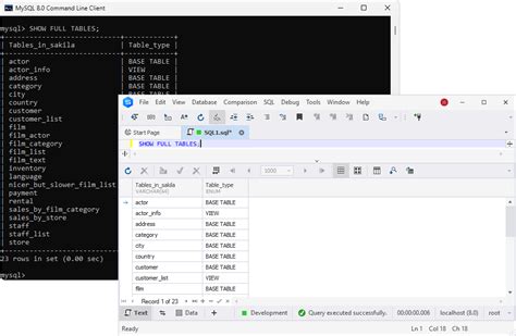 how to view table data in mysql terminal