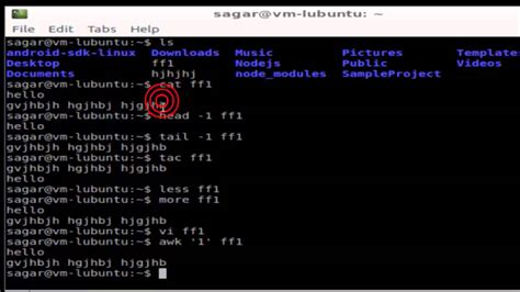 how to view the text file in linux