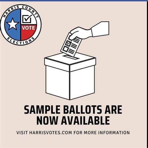 how to vote in texas primary