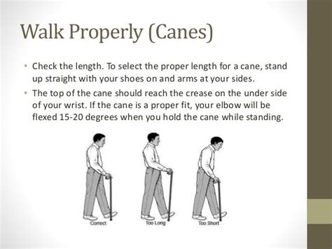 How To Walk A Dog While Using A Cane