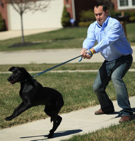 How To Walk A Pulling Dog