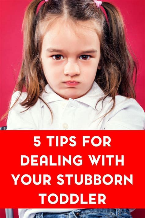 How To Work With Stubborn Toddlers