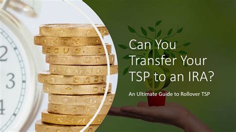 how to work your tsp