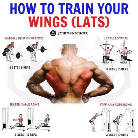how to workout lats at home without equipment