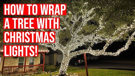 How To Wrap A Tree With Mini Lights