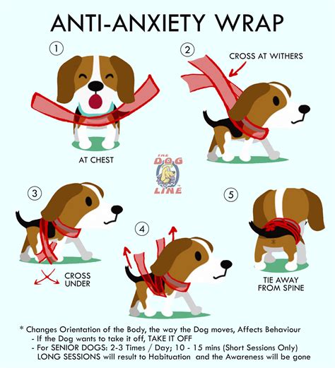 How To Wrap Your Dog