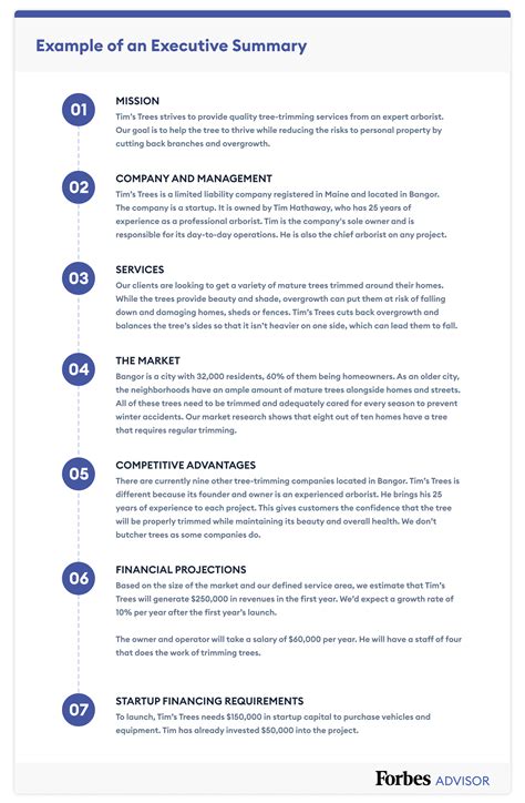 how to write a business overview example