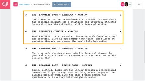 how to write a character description in a script