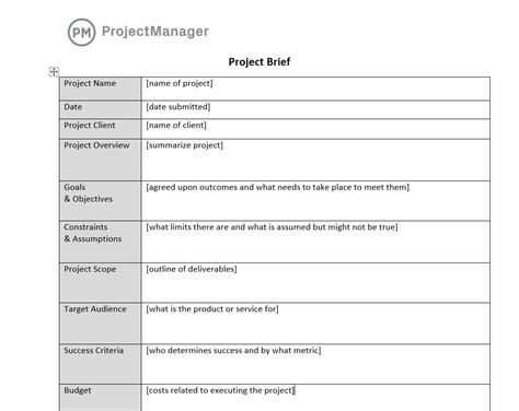 how to write a project brief template