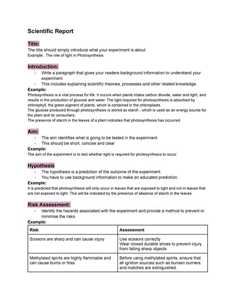 how to write a science report example