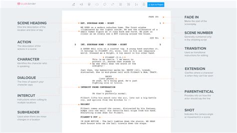 how to write a script analysis