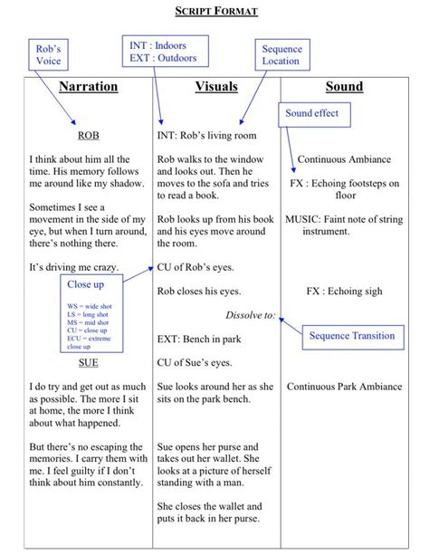 how to write a script for a video documentary