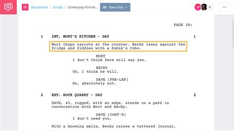 how to write a script format