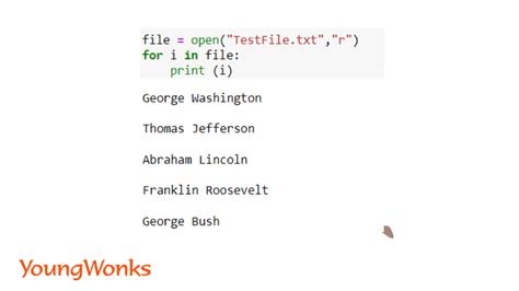 how to write a text file in python line by line