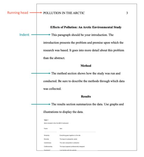 how to write an essay in apa format example