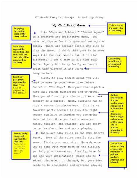 how to write an explanatory essay example