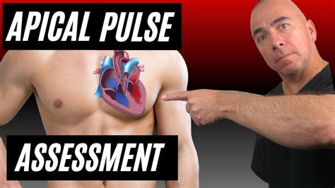 how to write apical pulse