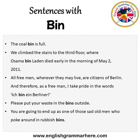 How To Write Bin In A Sentence