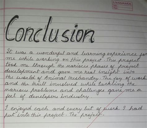 how to write conclusion for project class 9