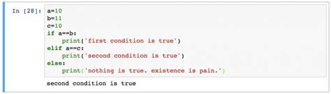 how to write if true statement in python