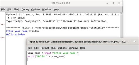 how to write input statement in python