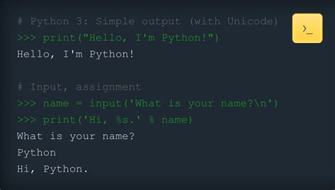 how to write python programming language
