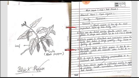 how to write spotting in botany practical