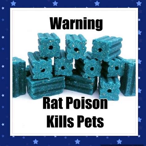 how toxic is rat poison
