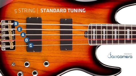 How Tune A 5 String Bass