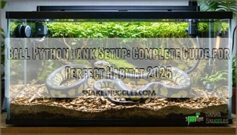 How Warm Should A Ball Python Tank Be