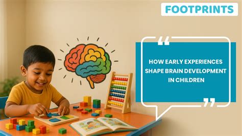 How do experiences shape the developing brain?